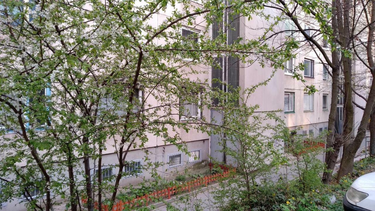 Gesztenyés Apartman Miskolc Exterior foto